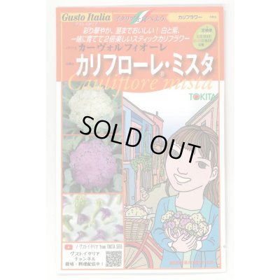 画像1: [イタリア野菜] カリフローレミスタ 40粒（各20粒） トキタ種苗(株)