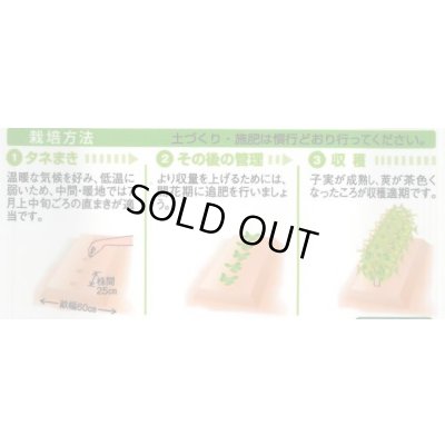 画像2: 送料無料　[豆類]　丹波大納言小豆（アズキ）　30ml（約90粒）　タキイ種苗（株）GF