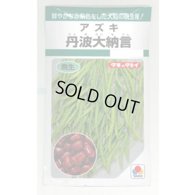 画像1: 送料無料　[豆類]　丹波大納言小豆（アズキ）　30ml（約90粒）　タキイ種苗（株）GF