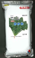 [ほうれんそう]　おかめ　1L　タキイ種苗(株)