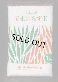 [緑肥]　オオムギ　てまいらずE　1kg　カネコ種苗(株)