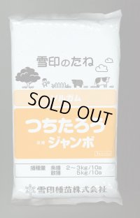 [緑肥]　ソルガム　つちたろう　1kg　雪印種苗(株)