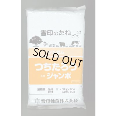 画像1: [緑肥]　ソルガム　つちたろう　1kg　雪印種苗(株)