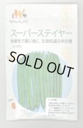 送料無料　[いんげん]　スーパーステイヤー　1dl（10％増量）　ヴィルモランみかど
