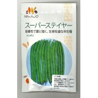 送料無料　[いんげん]　スーパーステイヤー　1dl（10％増量）　ヴィルモランみかど