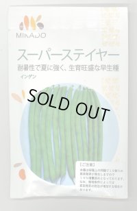 送料無料　[いんげん]　スーパーステイヤー　30ml（10％増量）　ヴィルモランみかど（株）