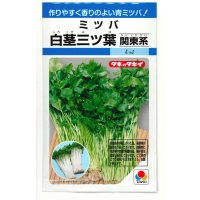 送料無料　ミツバ　白茎三ツ葉（関東系）4ml（約780粒）タキイ種苗（株）MF