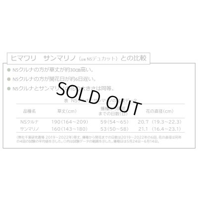 画像2: [景観形成作物]　ひまわり　NSクルナ　500ｇ　　雪印種苗（株）
