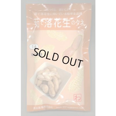 画像1: 送料無料　[落花生]　郷の香　1dl(およそ60粒)　渡辺農事（株）