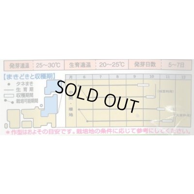画像2: 送料無料　[枝豆]　丹波黒大粒大豆　35ml（約37粒）　タキイ種苗(株)GF