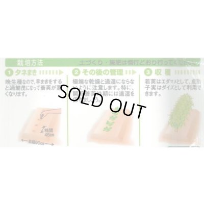 画像3: 送料無料　[枝豆]　丹波黒大粒大豆　35ml（約37粒）　タキイ種苗(株)GF