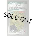 送料無料　[枝豆]　丹波黒大粒大豆　35ml（約37粒）　タキイ種苗(株)GF
