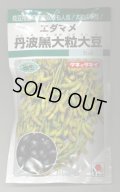 送料無料　[枝豆]　丹波黒大粒大豆　35ml（約37粒）　タキイ種苗(株)GF