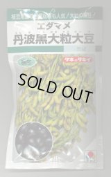 送料無料　[枝豆]　丹波黒大粒大豆　35ml（約37粒）　タキイ種苗(株)GF