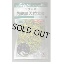 送料無料　[枝豆]　丹波黒大粒大豆　35ml（約37粒）　タキイ種苗(株)GF