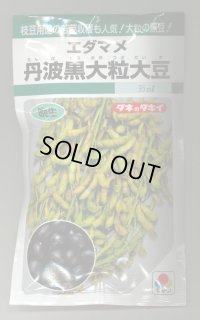 送料無料　[枝豆]　丹波黒大粒大豆　35ml（約37粒）　タキイ種苗(株)GF