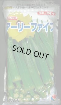 送料無料　[オクラ]　アーリーファイブ　1万粒　タキイ種苗(株)