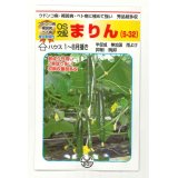 送料無料　[キュウリ]　まりん　350粒　（株）埼玉原種育成会