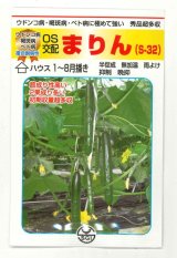 送料無料　[キュウリ]　まりん　350粒　（株）埼玉原種育成会