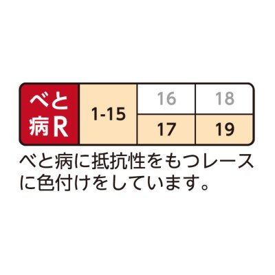 画像3: [ほうれんそう]　晩抽サマージェット　(種子サイズM)3万粒　タキイ種苗