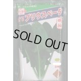 [ほうれんそう]　ほうれんそう　プリウスベータ　　3万粒（種子サイズ：L）　トキタ種苗(株)