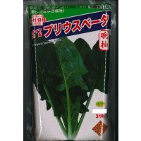 [ほうれんそう]　ほうれんそう　プリウスベータ　　3万粒（種子サイズ：L）　トキタ種苗(株)