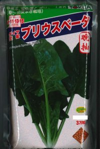 [ほうれんそう]　ほうれんそう　プリウスベータ　　3万粒（種子サイズ：L）　トキタ種苗(株)