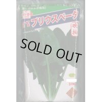 [ほうれんそう]　ほうれんそう　プリウスベータ　　3万粒（種子サイズ：L）　トキタ種苗(株)