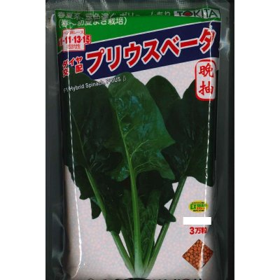 画像1: [ほうれんそう]　ほうれんそう　プリウスベータ　　3万粒（種子サイズ：L）　トキタ種苗(株)