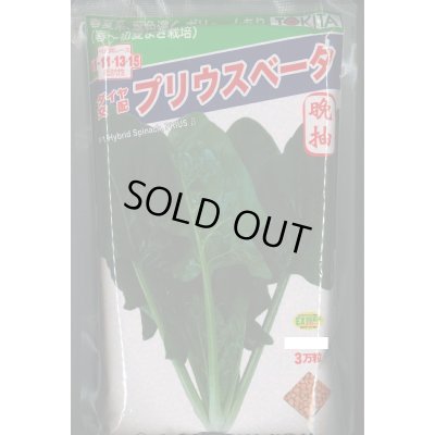 画像1: [ほうれんそう]　ほうれんそう　プリウスベータ　　3万粒（種子サイズ：L）　トキタ種苗(株)