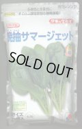 [ほうれんそう]　晩抽サマージェット　(種子サイズM)3万粒　タキイ種苗(株)