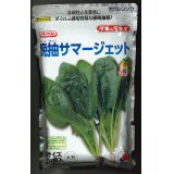 [ほうれんそう]　晩抽サマージェット　(種子サイズM)3万粒　タキイ種苗(株)