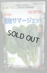 [ほうれんそう]　晩抽サマージェット　(種子サイズM)3万粒　タキイ種苗(株)