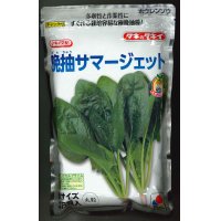 [ほうれんそう]　晩抽サマージェット　(種子サイズM)3万粒　タキイ種苗(株)