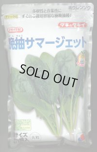 [ほうれんそう]　晩抽サマージェット　(種子サイズM)3万粒　タキイ種苗(株)