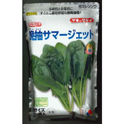 画像1: [ほうれんそう]　晩抽サマージェット　(種子サイズM)3万粒　タキイ種苗(株)