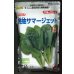 画像1: [ほうれんそう]　晩抽サマージェット　(種子サイズM)3万粒　タキイ種苗(株) (1)