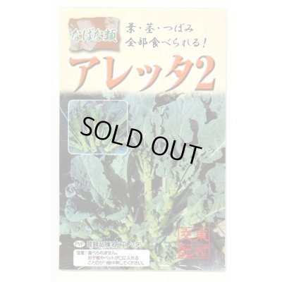 画像1: 送料無料　アレッタ2　1ml　裸種子(およそ150粒)　　松永種苗（株）