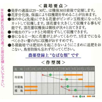 画像2: 送料無料　[葉物]　アレッタ2　1ml　裸種子(およそ150粒)　　松永種苗（株）