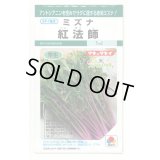 送料無料　[葉物]　水菜　紅法師　5ml　タキイ種苗(株)GF