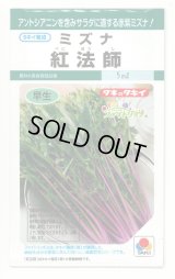 送料無料　[葉物]　水菜　紅法師　5ml　タキイ種苗(株)GF
