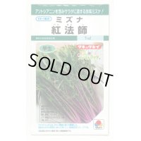 送料無料　[葉物]　水菜　紅法師　5ml　タキイ種苗(株)GF