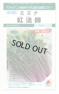 送料無料　[葉物]　水菜　紅法師　5ml　タキイ種苗(株)GF