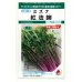 画像1: 送料無料　[葉物]　水菜　紅法師　5ml　タキイ種苗(株)GF (1)