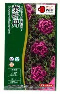 送料無料　花の種　葉牡丹　プラチナケールF1　グロッシーレッド　15粒　タキイ種苗(株)NL300