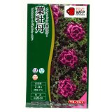 送料無料　花の種　葉牡丹　プラチナケールF1　グロッシーレッド　15粒　タキイ種苗(株)NL300