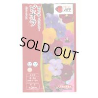 送料無料　花の種　ビオラ　F1ビビ　ミックス　小袋　タキイ種苗(株)(NL300)