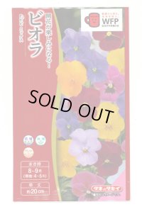 送料無料　花の種　ビオラ　F1ビビ　ミックス　小袋　タキイ種苗(株)(NL300)