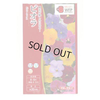 画像1: 送料無料　花の種　ビオラ　F1ビビ　ミックス　小袋　タキイ種苗(株)(NL300)