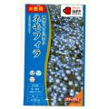 送料無料　花の種　お徳用パック！ネモフィラ　インシグニスブルー　5ml　タキイ種苗(株)NL500
